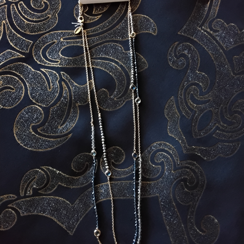 Ann Taylor Gold and Silver Long Necklace
